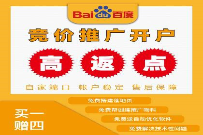 SEM运营公司经典案例点评